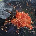 Cooksnap dari endang parwiti untuk resep Sambal Bawang Siram Minyak