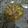 Mrs. Rashid's cooksnap of when they made Achar gosht.