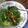 Cooksnap dari Nisa Ul Ulum untuk resep Tumis Baby Kailan / Cah Siwilan