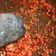 Cooksnap dari Icaak untuk resep Sambal asem / sambel sayur asem / sambal terasi asem seger