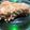 El cooksnap de Fran.colibri cuando hizo Tarta crujiente de manzana – Apple crumble pie.