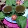 Nidhi Vyas's cooksnap of when they made પાલક સૂપ (Palak Soup Recipe In Gujarati).