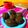 El cooksnap de Belén cuando hizo Muffins de algarroba y chocolate🍫.