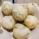 Cooksnap dari Windi Wulandari untuk resep Pempek Dos adaan