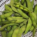 Cooksnap dari febi anggoro untuk resep Cruchy Boiled Edamame