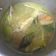 Cooksnap dari Kikiokeh Qibtiyah untuk resep Soto Ayam Bening Bogor