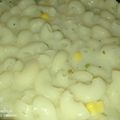 Aishwarya Veerakesari's cooksnap of when they made சீஸி வெள்ளை சாஸ் பாஸ்தா (Cheesy vellai pasta recipe in tamil).