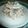 Cooksnap από dcroula στη συνταγή Insalata di pasta με τόνο και μουστάρδα