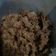 Cooksnap dari Nabila Zul Auni untuk resep Jamur Crispy Original