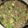 shawnbrashers66@gmail.com 's cooksnap of when they made Beef And Broccoli.