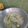 Cooksnap dari Khaleesi untuk resep Sayur Oyong Bihun Bening