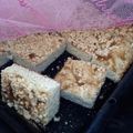 Refilwe Rachel Ndlela's cooksnap of when they made Jam tart biscuits.