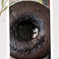 El cooksnap de isabel cuando hizo Budín Húmedo de chocolate con chips.