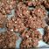 Cooksnap dari Ambar Chynumbl untuk resep Kue Bengbeng