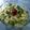 fatimazahra's cooksnap of when they made khoya.