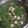 彭士芳 的 客家鹹湯圓 cooksnap