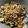 Sasi's cooksnap of when they made หมี่เหลืองผัดซีอิ้ว.