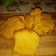 El cooksnap de Marcia Rebolledo Torres cuando hizo Galletas de coco y harina de almendras grez.