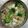 Archana Agrawal's cooksnap of when they made Vegetable pulao.