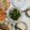 Yang Yang Chang 的 五花肉炒水蓮 cooksnap