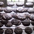 efia.henry's cooksnap of when they made Chocolate Peanut Butter Dream Cookies.