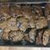 Cooksnap de Yuri Rodrigues quando cozinhou Cookies com Pepitas de Chocolate.