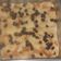 Cooksnap dari Tita Zaky untuk resep Puding Roti Panggang