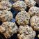 Cooksnap dari Yuli Nur Elia untuk resep Raisin Oatmeal Scones ala Starbuck
