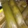 Cooksnap dari Sri Purwati untuk resep LONTONG DAUN PISANG (5.30.7)