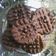 Cooksnap dari Fifi untuk resep Jelly cookie Chocochip