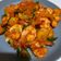Cooksnap dari Mona Vera untuk resep Sambal Udang Kentang