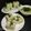 Archana Devi ( Chaurasia)'s cooksnap of when they made Dhokla.