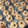 Cooksnap dari Ayindha untuk resep Kue Semprit Susu