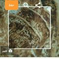 صورة من أم حاتم "، شاركها بعد تجربة وصفة خبز روووعه من يدين امي 😋👏🏻❤️