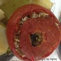 Cooksnap από manewcook στη συνταγή Μοναστηριακά γεμιστά