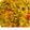 pushpalata yadav's cooksnap of when they made Healthy Broken Wheat (Dalia) Khichdi.