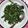 Cooksnap dari Rizka Mirlina Ismail untuk resep Salad Bayam Korea (Sigeumchi Namul)