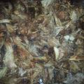 khinsha1's cooksnap of when they made Momma's simply amazing carnitas.