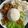 Cooksnap dari Triyono Saputra untuk resep BEBEK RICA RICA pedasnya menggila