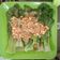 Cooksnap dari Deandra untuk resep Pakcoy with Garlic Sauce
