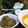 Cooksnap dari Selera Ummi untuk resep Sambal ijo padang
