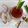 Cooksnap dari Lailazegaff untuk resep Wedang Uwuh