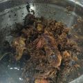 Cooksnap dari Anis untuk resep Ayam Bumbu bebek