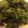 hdarcy's cooksnap of when they made Kale Chips.