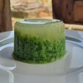 Cooksnap dari Florensia Wenda untuk resep Puding Lumut daun Suji dan Pandan