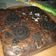 Cooksnap dari Siska Julia untuk resep Fudgy Brownies