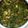 Vidu ganguli का कुकस्नैप जब उन्होंने मेथी आलू की सब्जी (Methi aloo ki sabzi recipe in Hindi) बनाया था।
