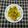 Dr. Pushpa Dixit's cooksnap of when they made Healthy dhokla.