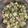 Sherifa J's cooksnap of when they made வெண்டைக்காய் பொரியல்  (bhindi) (Vendaikkaai poriyal Recipe in Tamil).