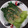 Cooksnap dari Saskia Noviandini untuk resep Tumis Pokcoy Bawang Putih